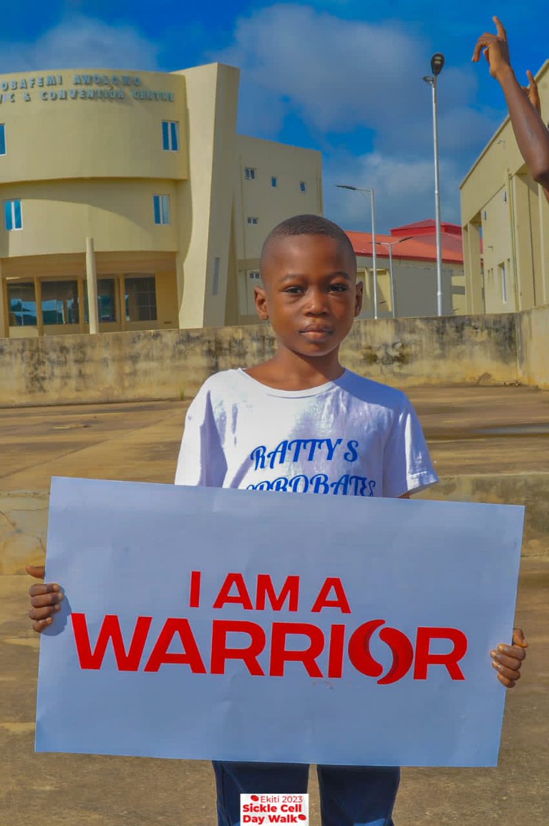AYENI IDOWU SICKLE CELL FOUNDATION tweet media