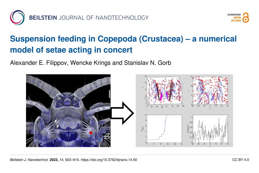 BeilsteinInst's tweet photo. The #BJNANO Associate Editor Stanislav Gorb @kieluni & collaborators @unihh @Leibniz_LIB @UniLeipzig and NASU present a numerical model to describe the joint action of #setae of #crusteceans 🦀 during #suspensionfeeding.
➡️ https://t.co/3DzMFb0ztD
#DiamondOpenAccess 💎🔓#BJNANO https://t.co/6UEyBMvibB