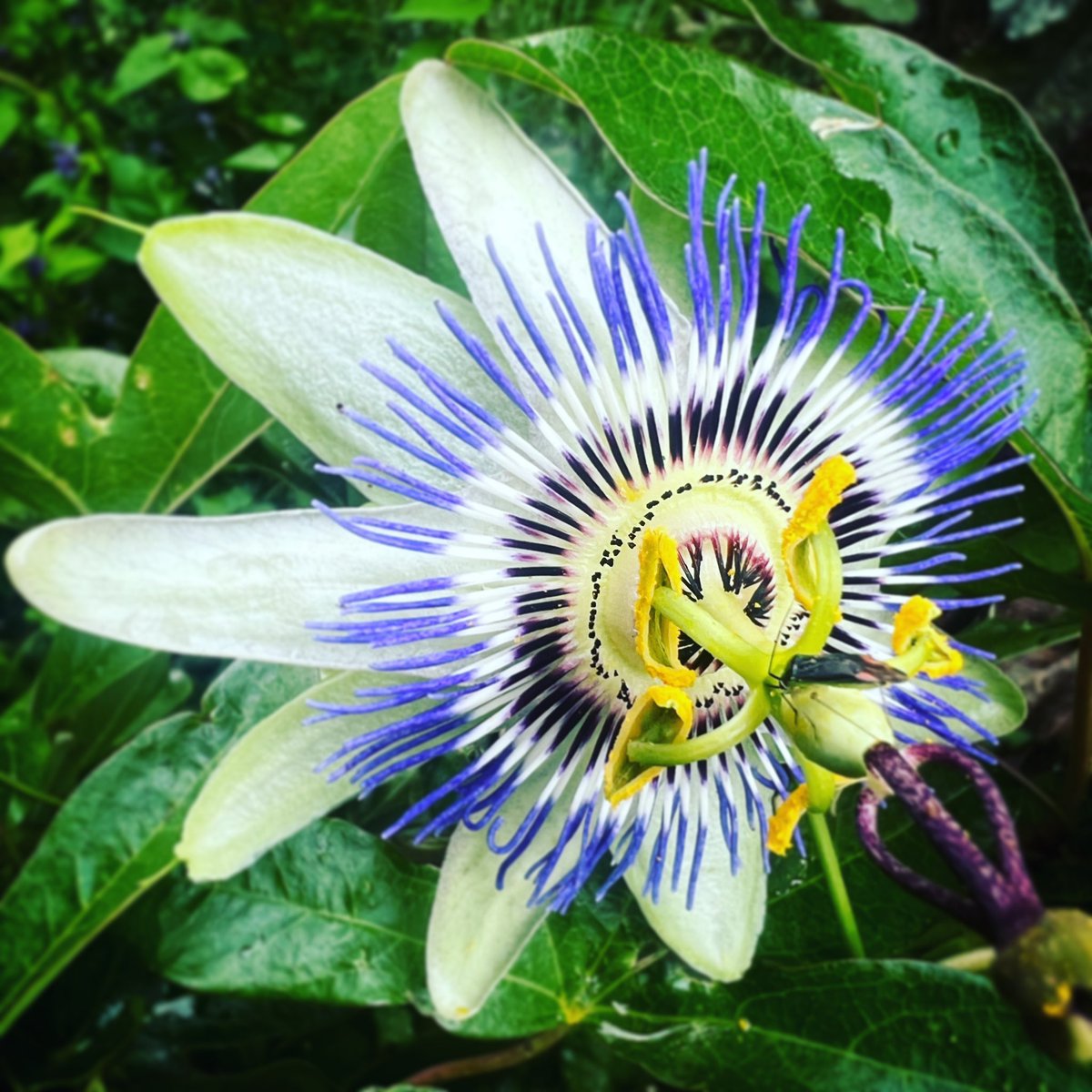 Daniel Senyard tweet media