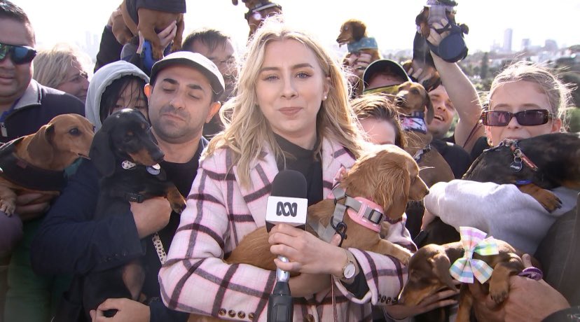 Courtney Withers tweet media