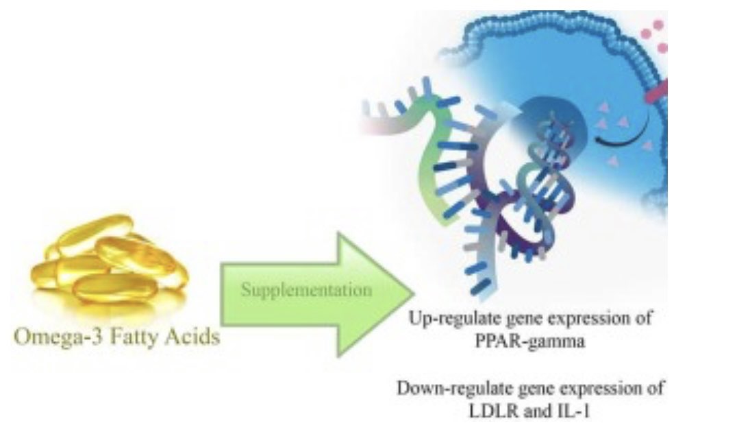 sciencedirect.com/science/articl…

Omega 3 FA intake up-regulates PPAR-γ gene expression. PPARγ enhances anti-inflammatory properties, and contributes to oxidative stress inhibition, and improvement of endothelial function.