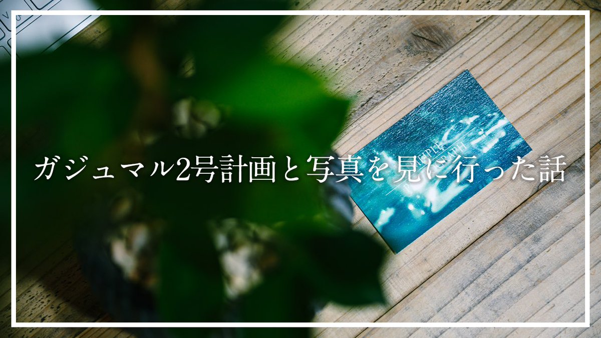 yudai_kanayama's tweet photo. 【YouTubeアップしました!】
前回の動画で始動したガジュマル2号計画の続きと写真の個展を見に行った日をキュッと短めのvlogにまとめてみました!隙間時間にチラッと覗いてやってください!
https://t.co/Q4O0gIUN78
#YouTube #kandid #観葉植物 #indoorplants #photography https://t.co/hYw4AF6tOF