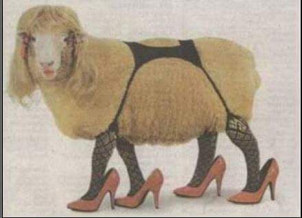 Fran entrando a #granhermanochv 😂😂😂😂