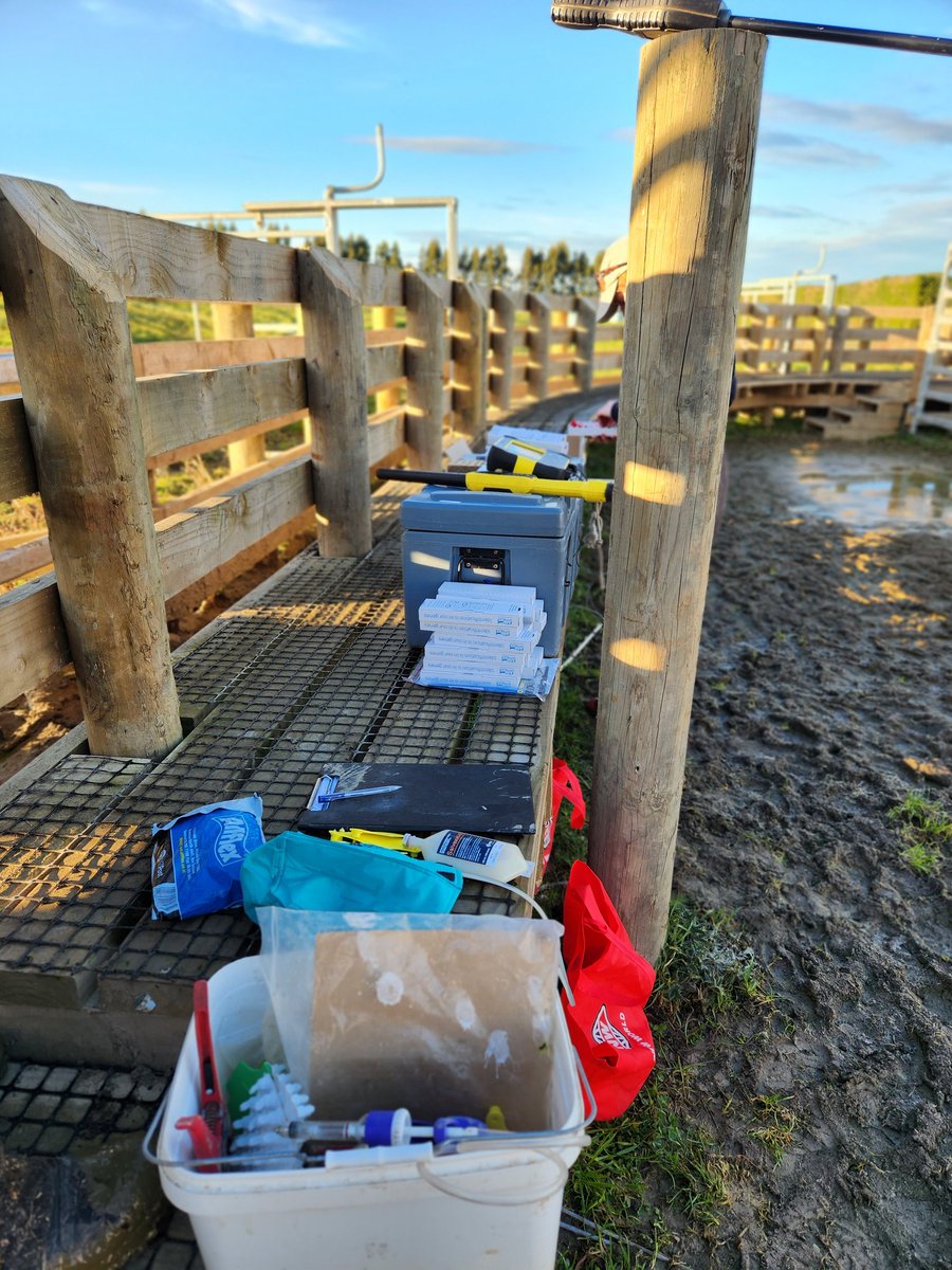 Anieka Templer tweet media