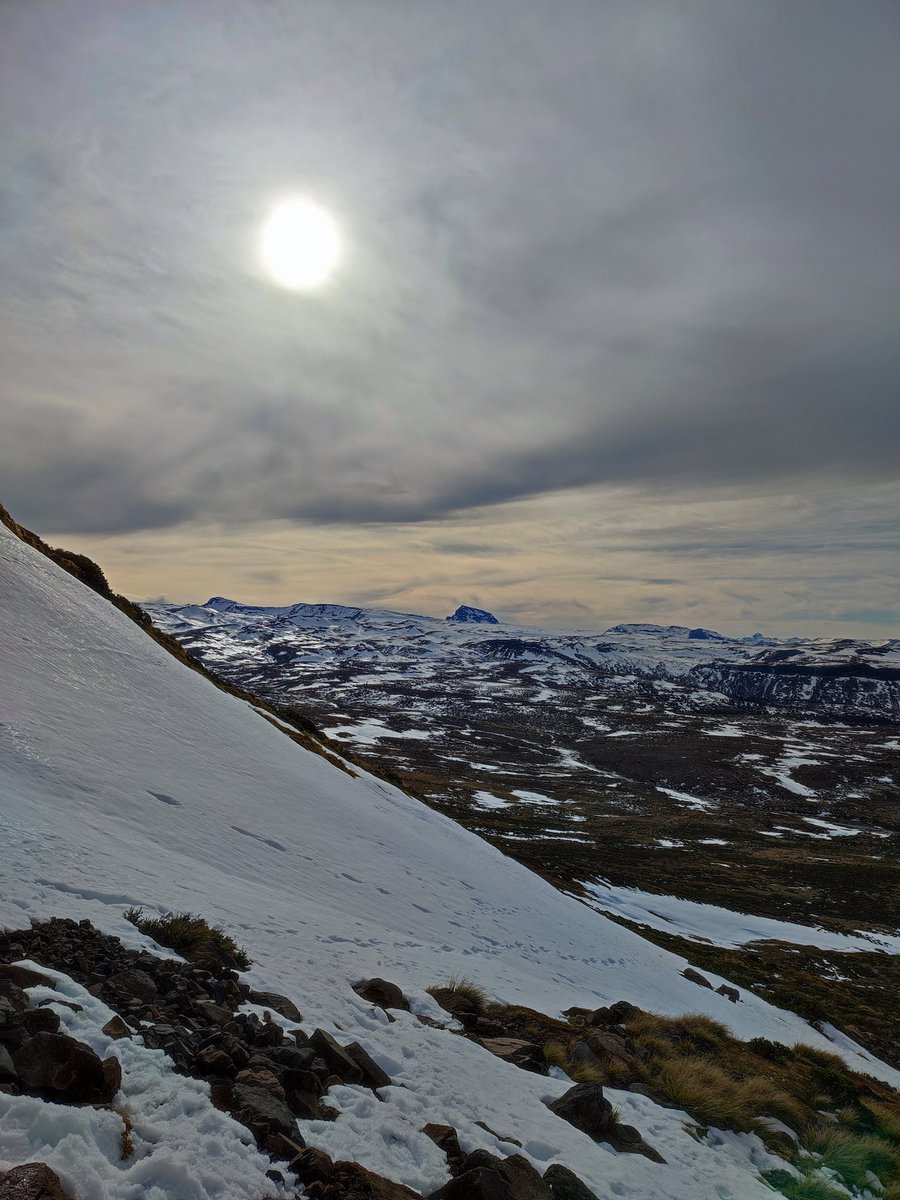 Mariano Botta tweet media