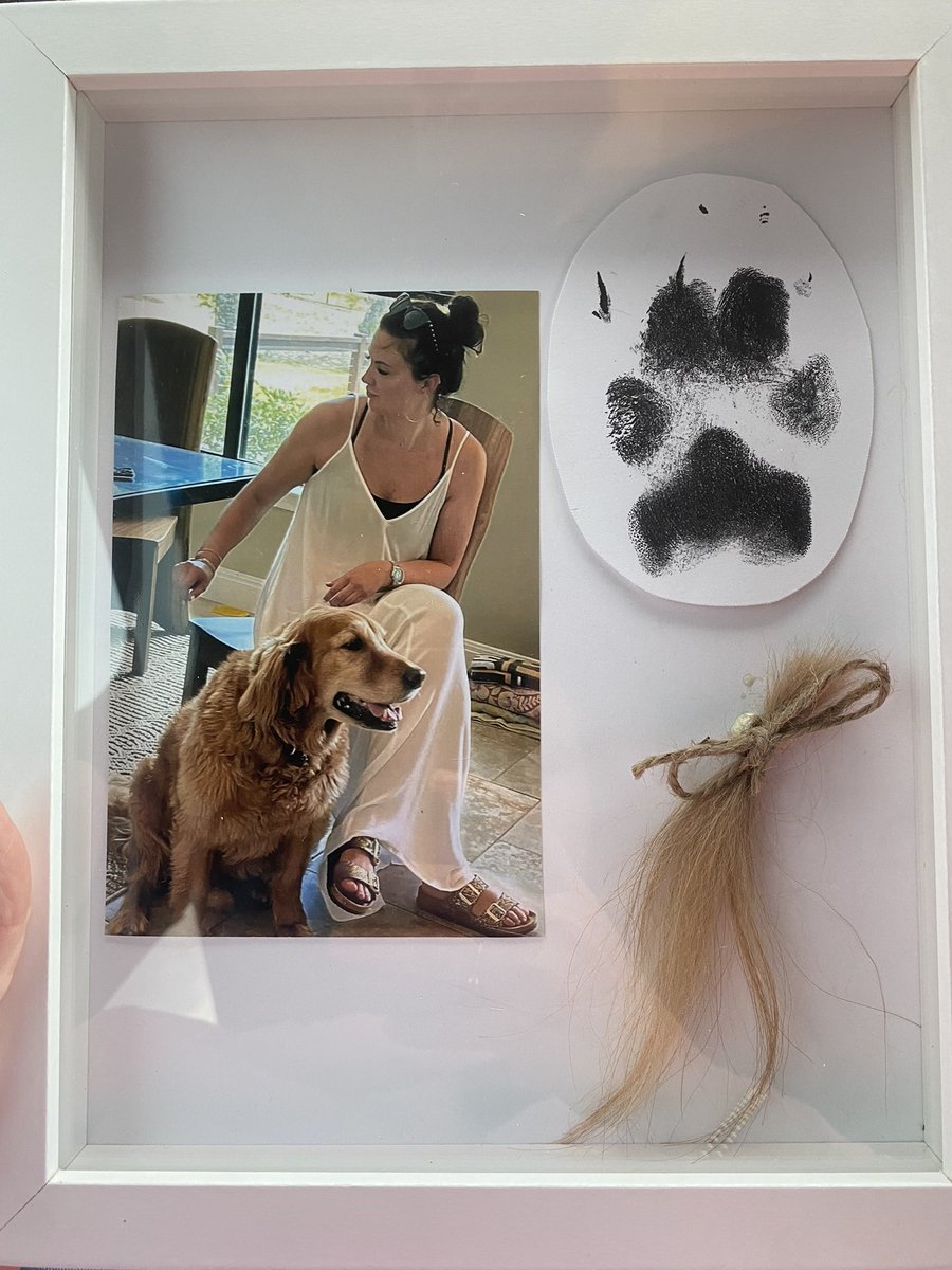 This sweet shadow box my Dad made me 😭🥺🫶🏼 #missmydog #rip