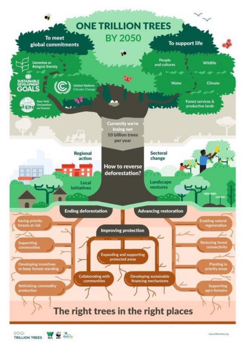 SDG2030 (@sdg2030) on Twitter photo Essential Ways Trees Help 🌏
🌳Trees provide food
🌳Trees protect the land
🌳Trees help us breathe
🌳Trees provide shelter and shade
🌳Trees encourage biodiversity
🌳Trees provide sustainable wood
🌳Trees conserve water
<a href="/ActorMadhavan/">Ranganathan Madhavan</a> <a href="/JaneGoodallInst/">Dr. Jane Goodall & the Jane Goodall Institute</a> <a href="/Benioff/">Marc Benioff</a> <a href="/ChrisEvans/">★</a> Essential Ways Trees Help 🌏
🌳Trees provide food
🌳Trees protect the land
🌳Trees help us breathe
🌳Trees provide shelter and shade
🌳Trees encourage biodiversity
🌳Trees provide sustainable wood
🌳Trees conserve water
<a href="/ActorMadhavan/">Ranganathan Madhavan</a> <a href="/JaneGoodallInst/">Dr. Jane Goodall & the Jane Goodall Institute</a> <a href="/Benioff/">Marc Benioff</a> <a href="/ChrisEvans/">★</a>