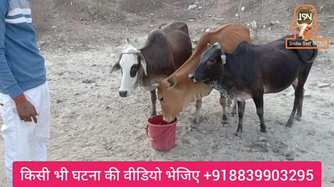 IndiaSelfNews's tweet photo. गौ माता की प्यास तक मर गई 😔😔
https://t.co/GAmDVOb6G2 https://t.co/DE72CO8ak7