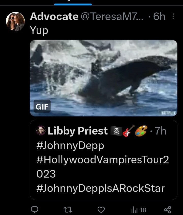 𝓙𝓮𝓷𝓷𝓲𝓯𝓮𝓻 on Twitter "What's the obsession with the dolphin gifs