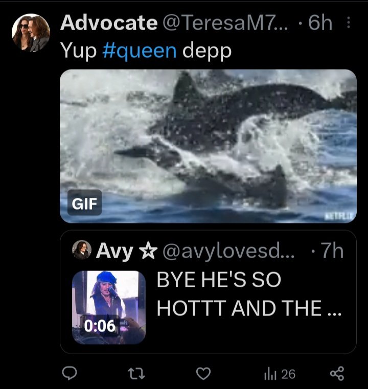 𝓙𝓮𝓷𝓷𝓲𝓯𝓮𝓻 on Twitter "What's the obsession with the dolphin gifs