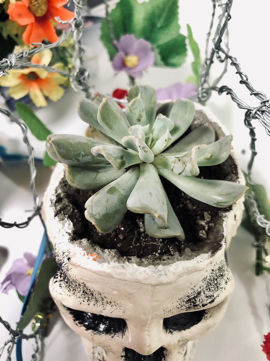 ConTextos tweet media