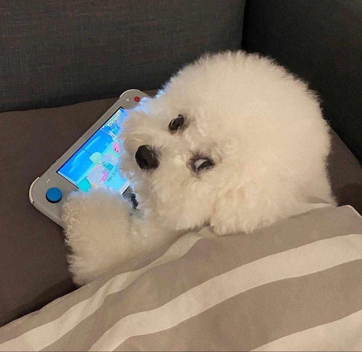 BadassLamia's tweet image. My baby 💓✨🍬