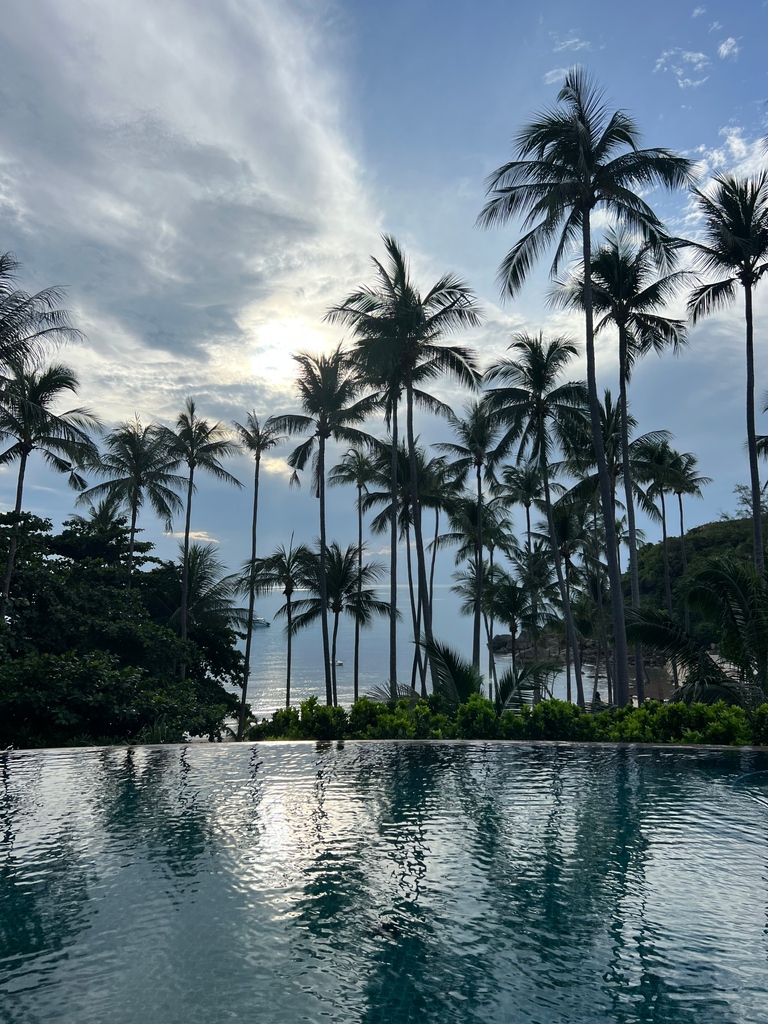 I believe in the power of self investment which is why we have been working from the island of Koh Samui this past week.

TORY xox
#community #learning #partnershipmarketing #thoughtleadership #purposedrivenbusiness