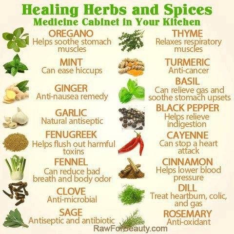 Top 10 herbs and spices that you should have in your #medicine cabinet:

organiclivefood.com/health/top-10-…