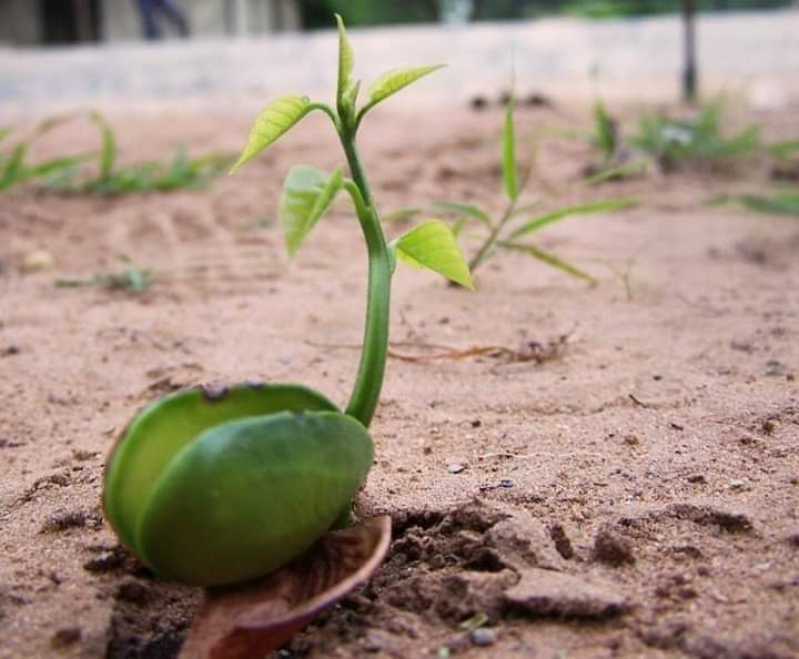 U can follow me
बुढ़ापे के 2 जून की रोटी के ops यात्रा का परिणाम आने लगा है #ops का बीज अंकुरित पुनः हो चुका है
#NPSनिजीकरणभारतछोड़ोयात्रा
#vijaykumarbandhu 
#NMOPS
<a href="/vijaykbandhu/">Vijay Kumar Bandhu</a>
#NPSनिजीकरणभारतछोड़ो
#RestoreOldPension
#पुरानी_पेंशन_बहाल_करो
#पुरानी_पेंशन_के_लिए_संघर्ष_जारी_रहेगा