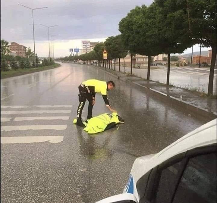 Yozgat Sorgun ilçesinde trafik kazası geçiren yarali köpeğe, yardım gelene kadar yağmurda ıslanmasın diye montunu örten Trafik Polisi👏

*
*
*

#kedi #kediler #kedim #kediseverler💖😻💖 #kediseverlerkulübü🐱 #cat #cats #kedisahipleri #kedisever #kedicandır #kedisevgisi