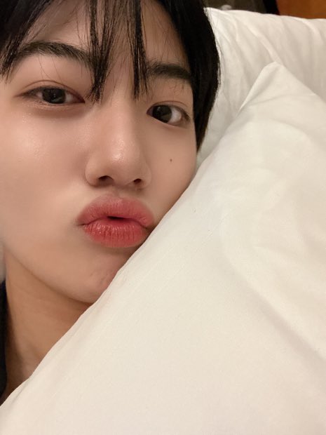 wdttxx's tweet photo. 두부 https://t.co/4pGcujD8Cx