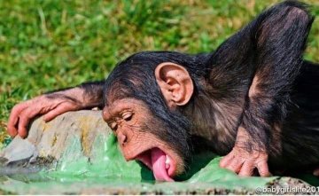 WiseBotlhale's tweet photo. @KatlegokgosigaD Hello Boo https://t.co/4Aidr9RCWp