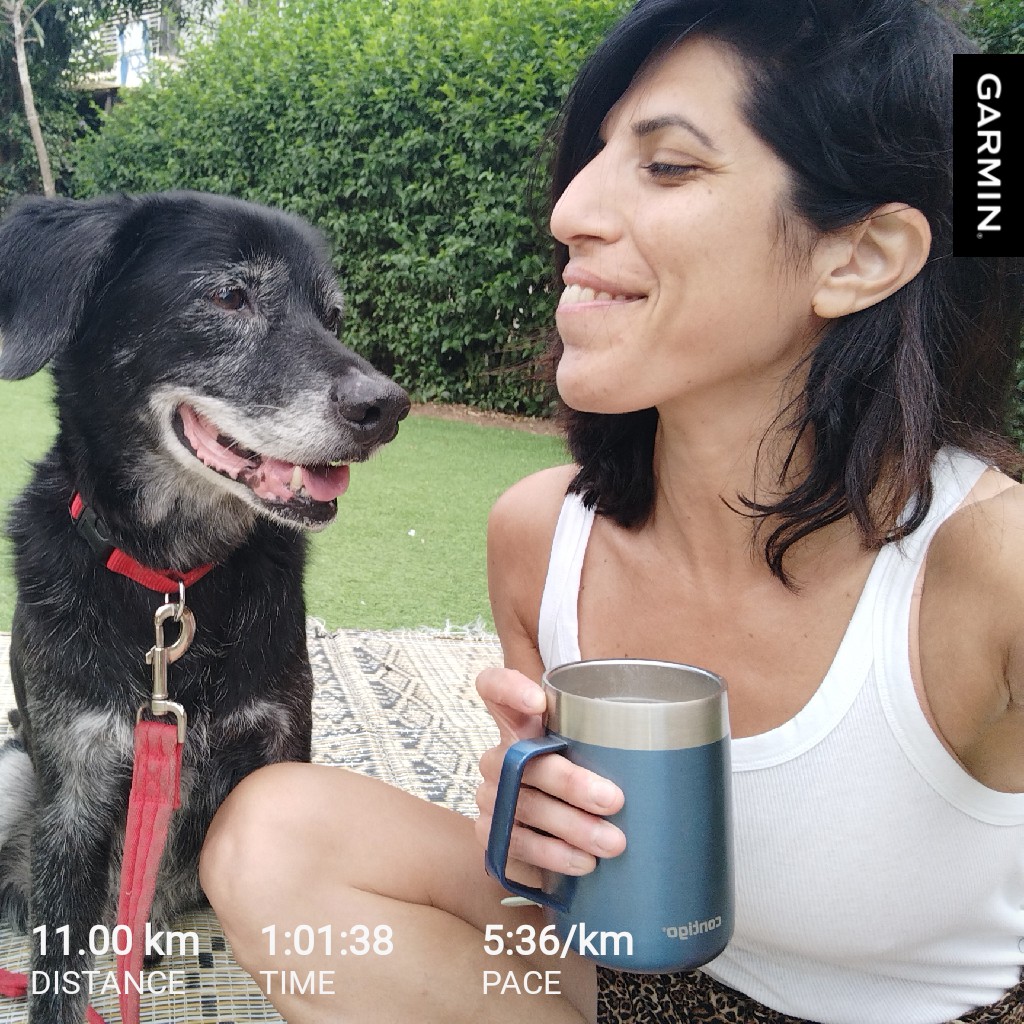 Shaharonet_'s tweet photo. #morning_run
#garmin https://t.co/yNh5iomMXa
