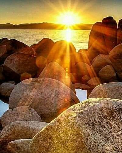 fevziyldz18's tweet photo. Hani derler ya...
Sevdiğin kadar sevilir
Değer verdiğin kadar değer bulursun
Kocaman bir yalanmış...İnsan sevdiği kadar üzülür
Değer verdiği kadar unutulurmuş
#Günaydınlar arkadaşlar #Anadolu #Memletim #pazartesi #Dostluk #NaturePhotography #Nature https://t.co/S6TJWjvnr9
