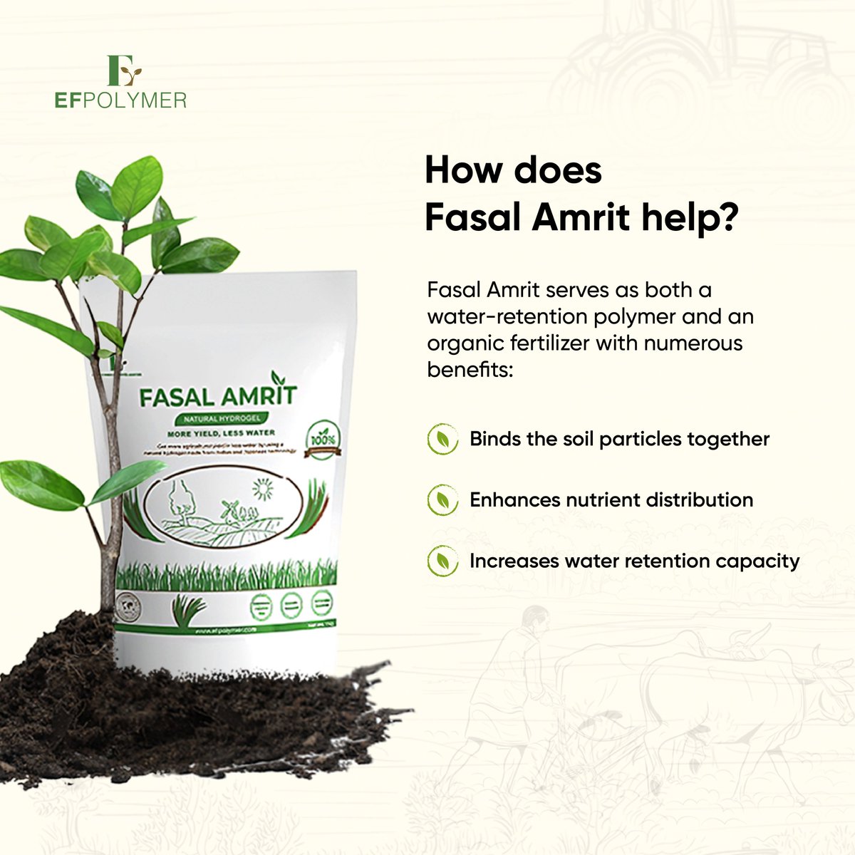 Start your journey of the green manuring process for an abundant harvest and sustainable farming with Fasal Amrit.

#sustainability #organicfarming #indianagriculture #agrotips #fasalamrit #efpolymer