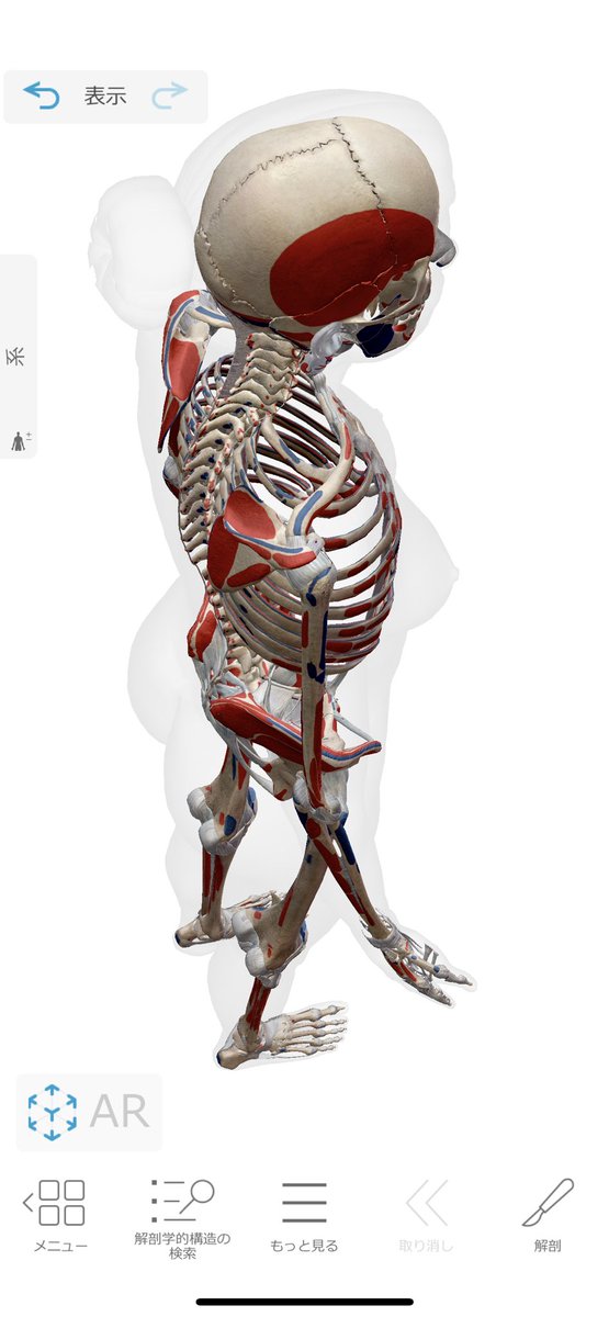 気づいたのだが、医療用の有料アプリも何気に使えるのでは...!?
#ジェスドロ https://t.co/seCVm6XolA