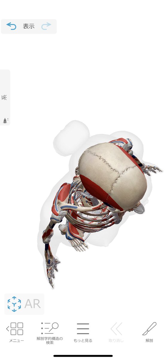 気づいたのだが、医療用の有料アプリも何気に使えるのでは...!?
#ジェスドロ https://t.co/seCVm6XolA