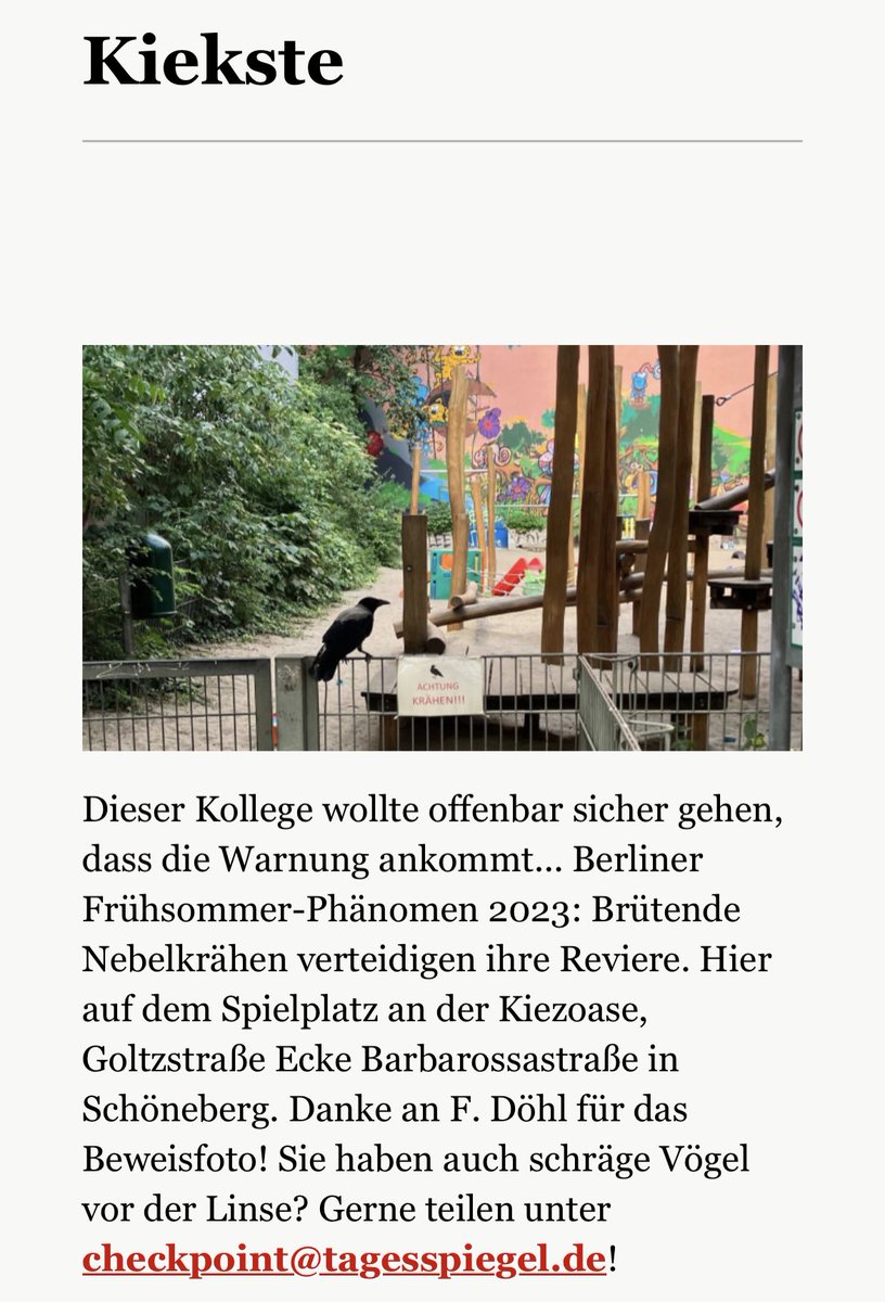 ⁦<a href="/musichistorylaw/">Hoptimist 🎧</a>⁩ 😉