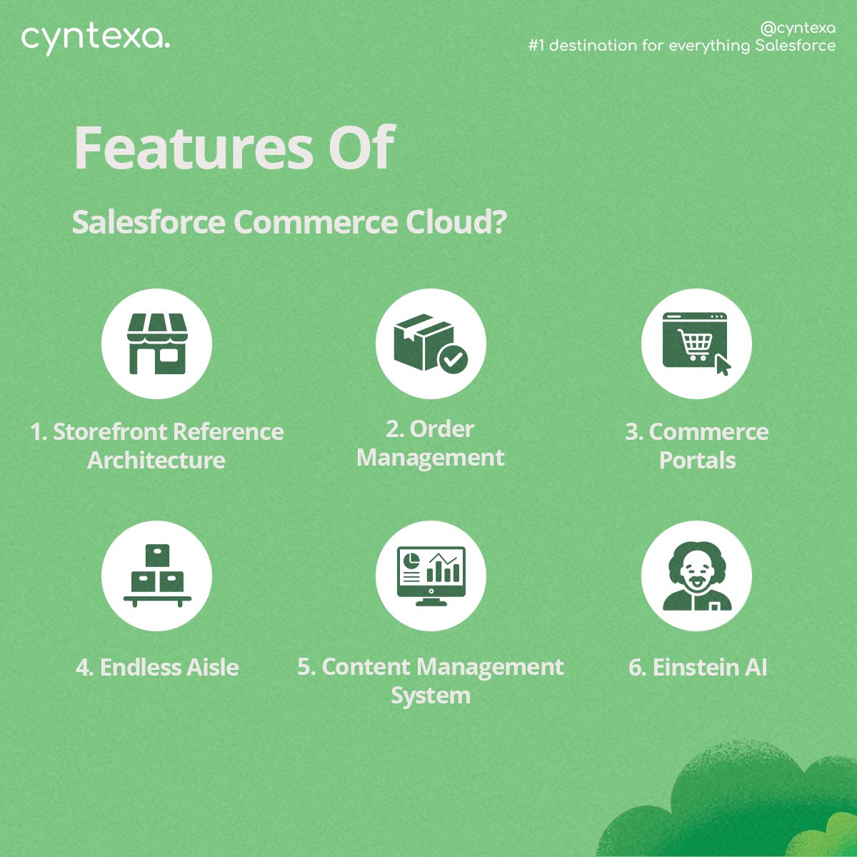 cyntexa's tweet image. Explore expert tips, step-by-step guidance, and invaluable insights to master every aspect of your Salesforce Commerce Cloud implementation. 
buff.ly/3p6pKjQ 

#SalesforceCommerceCloud #EcommerceSuccess #ImplementationGuide  #salesforcepartners #salesforceimplementation