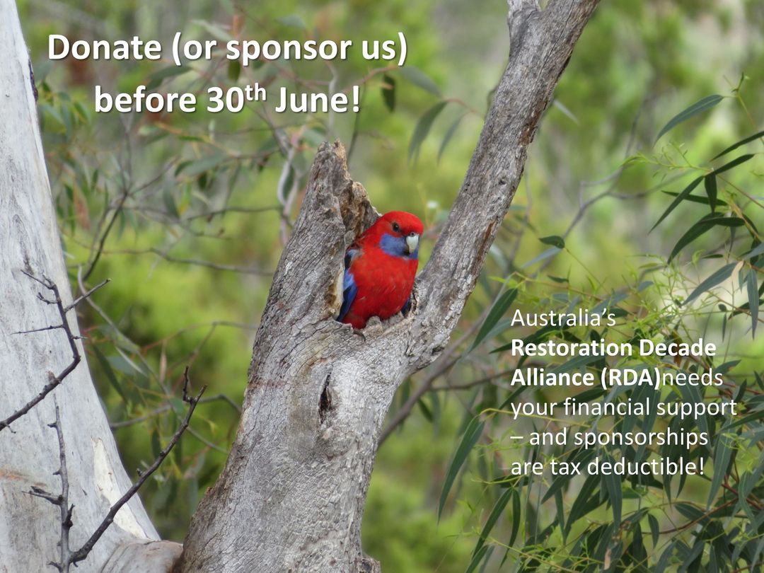 Would you consider donating to RDA? 

Your financial support – however small - would make a difference to how much we can spread the message of the UN  Decade across Australia.   

For info contact us through- 
 restorationdecadealliance.org

(Sponsorships are tax-deductible.)