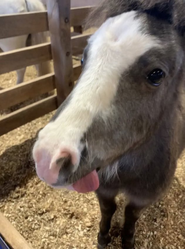 yo cuando me tomo una foto: