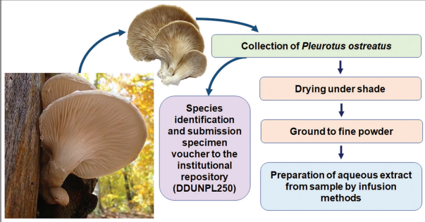 ITPS_ASP's tweet photo. 📌#InterestingPaper Orally Administered Aqueous Extract of #Pleurotus #ostreatus #Ameliorates Hyperglycemia in #Streptozotocin-Induced Diabetic Rats
By:Pratima Vishwakarma
Free Access:👇
https://t.co/9hIwrb8Ba2 https://t.co/7jDl7jpTGj