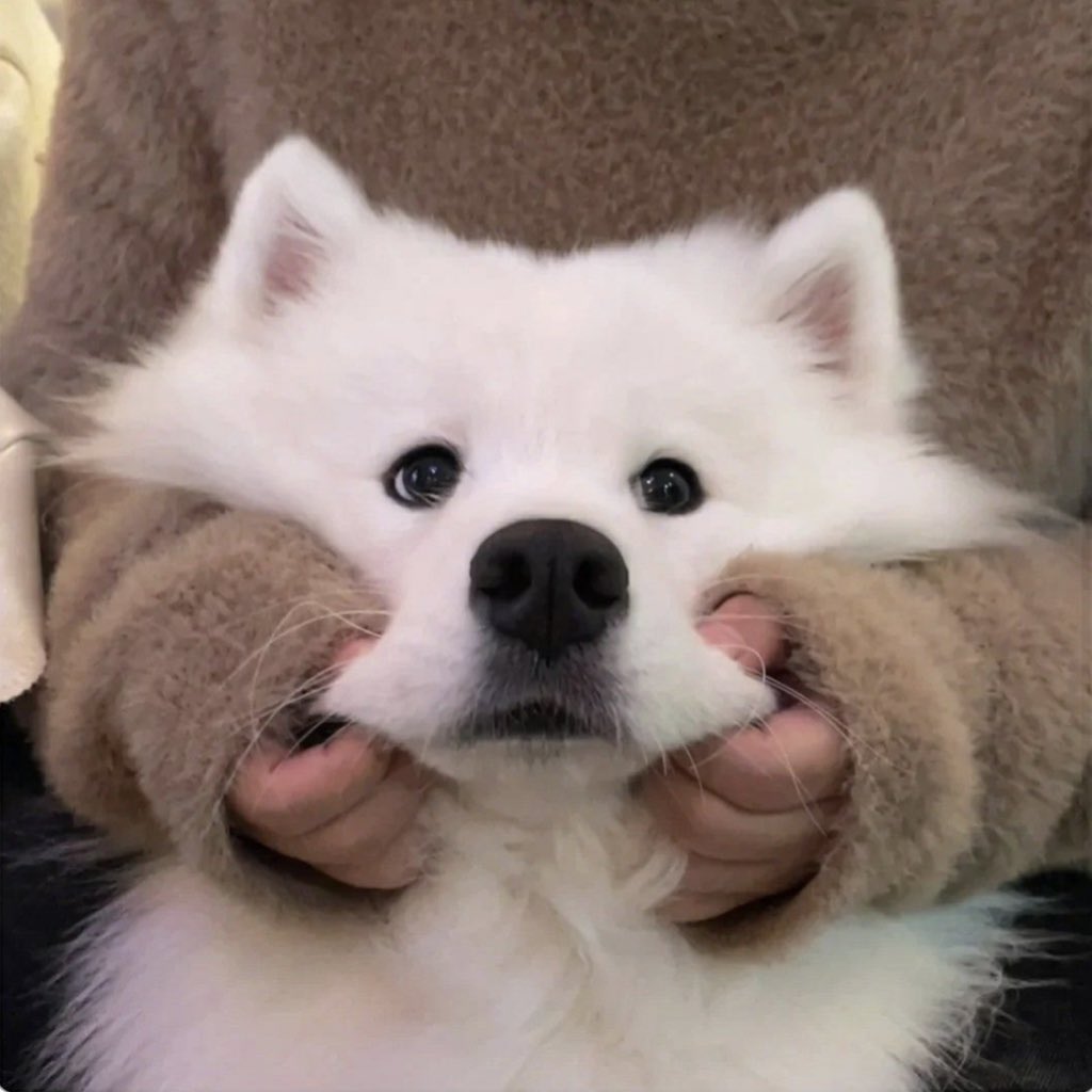 ʚ🧸ྀིɞ (행챙)⋆͛ tweet media