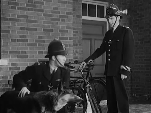 Looking for justice at 7:50am #TimTurner #JoanRice #SandraDorne POLICE DOG (1955) featuring 'Rex III' in this crime drama #TPTVsubtitles