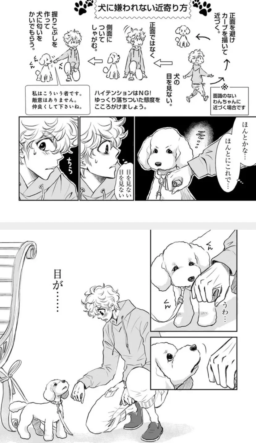 @bopiyopiyo 新米ドックトレーナーの漫画で見たやつや！！ 