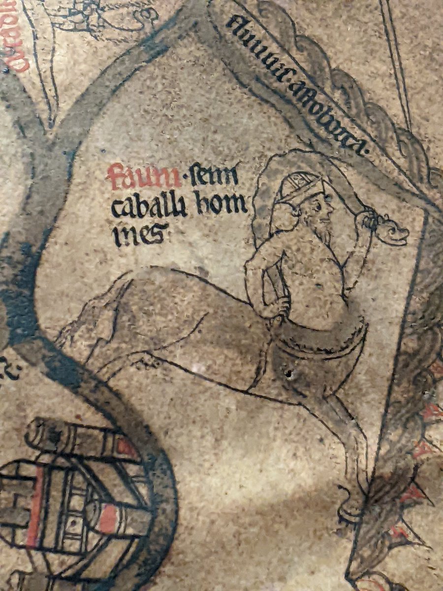 A centaur on the Mappa Mundi - in Hereford cathedral 
#MedievalMonday