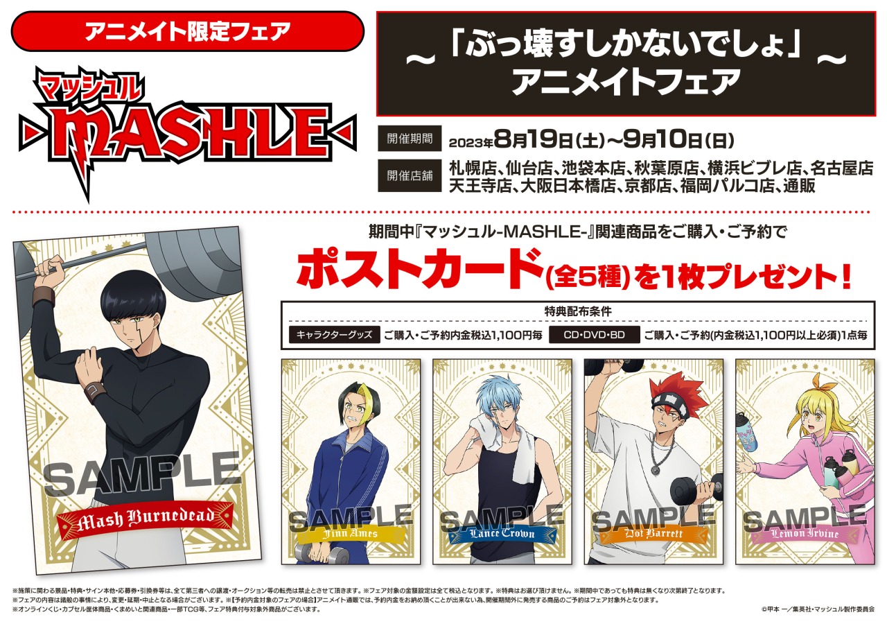 Amazon.co.jp: マッシュル ぶっ壊すしかないでしょ アニメイト