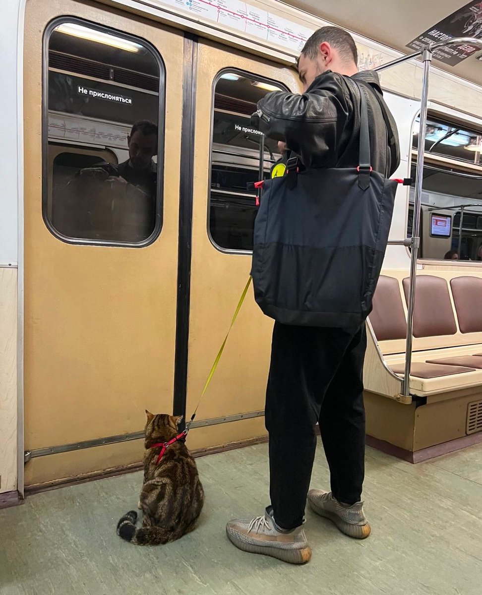 😼 Кожаный, мы на следующей выходим! 😊 Всем успешной недели и прекрасного настроения!
Фото: t.me/moscowmap