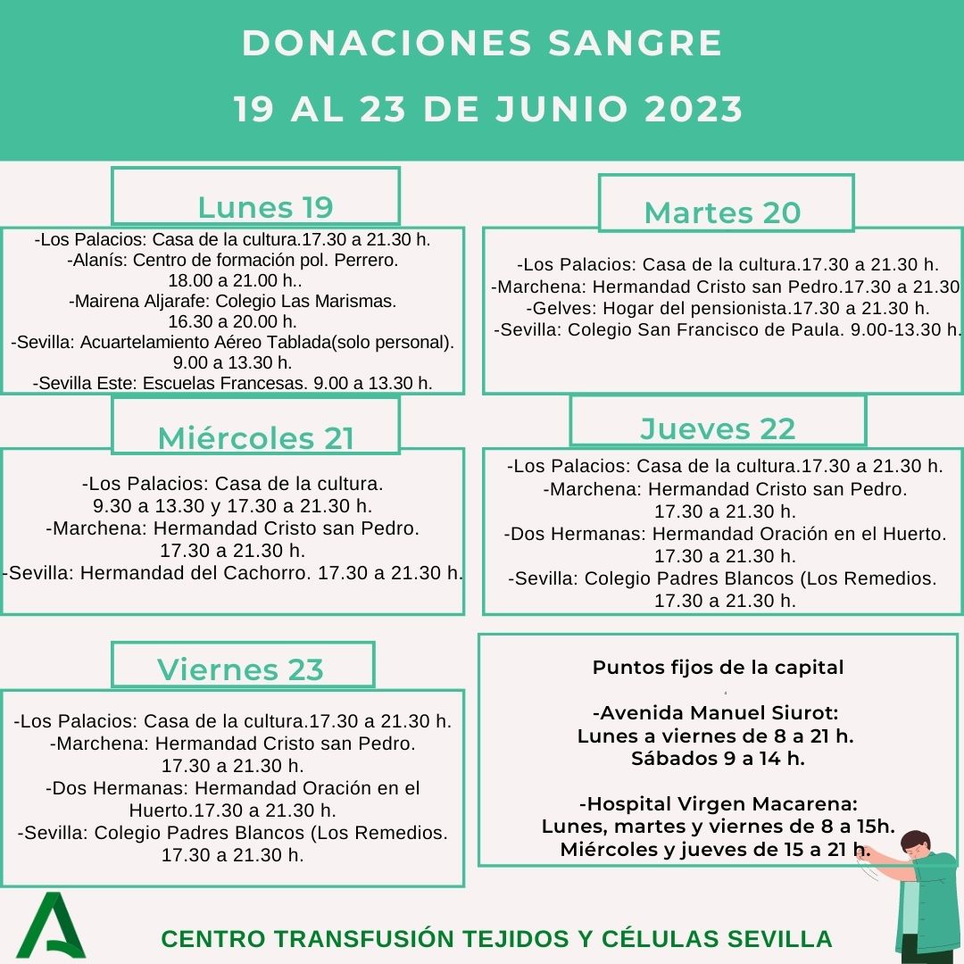 donantessevilla's tweet photo. Se acercan las vacaciones y te necesitamos más que nunca. Acércate a #donarsangre a algún punto de la provincia de #Sevilla., especialmente si tienes grupos 0-, 0+ y A+. ¡Te esperamos! https://t.co/yDxO6weucz