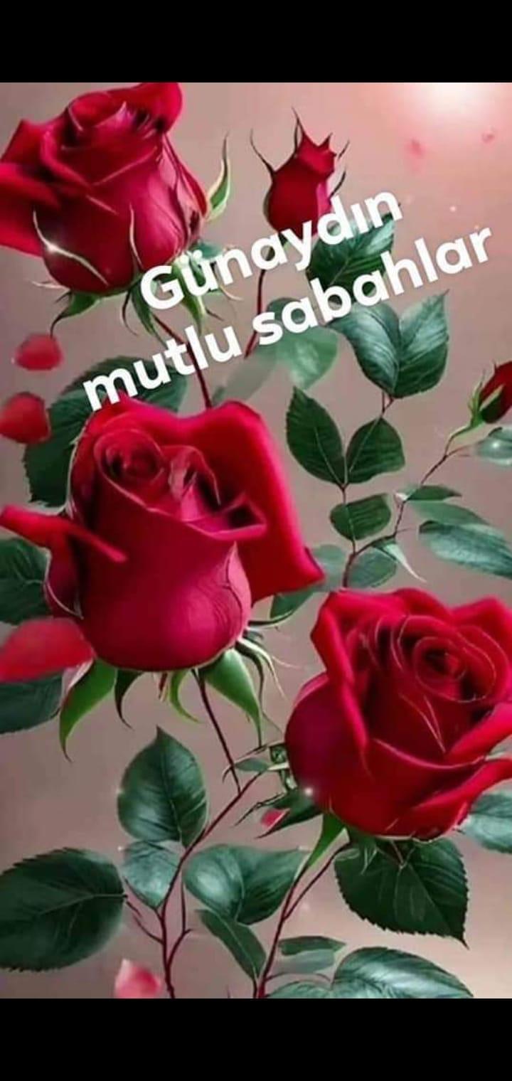 Vicdan Filiz on Twitter: