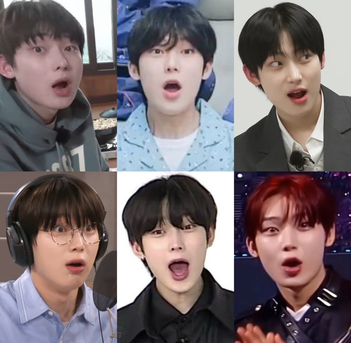 🦊🌻 | fan account tweet media