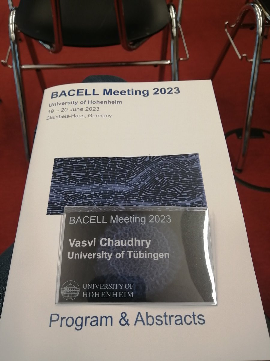 Untejesingen, Tuebingen ➡️ Herrenberg ➡️ Stuttgart➡️ Hohenheim #BACELL2023