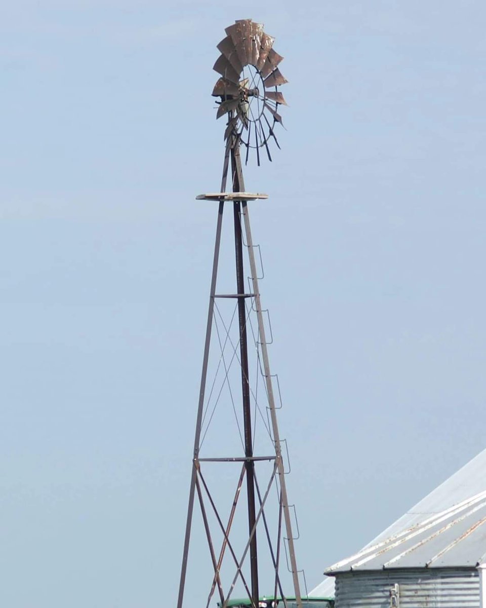 WKevinNelson's tweet photo. Good morning!โ๏ธ
#TodayisaGift #Wednesday #June #SpringinIllinois #WindmillWednesday #EveryDaysaBlessing #ThankfulforToday https://t.co/tkjZ9AH7At