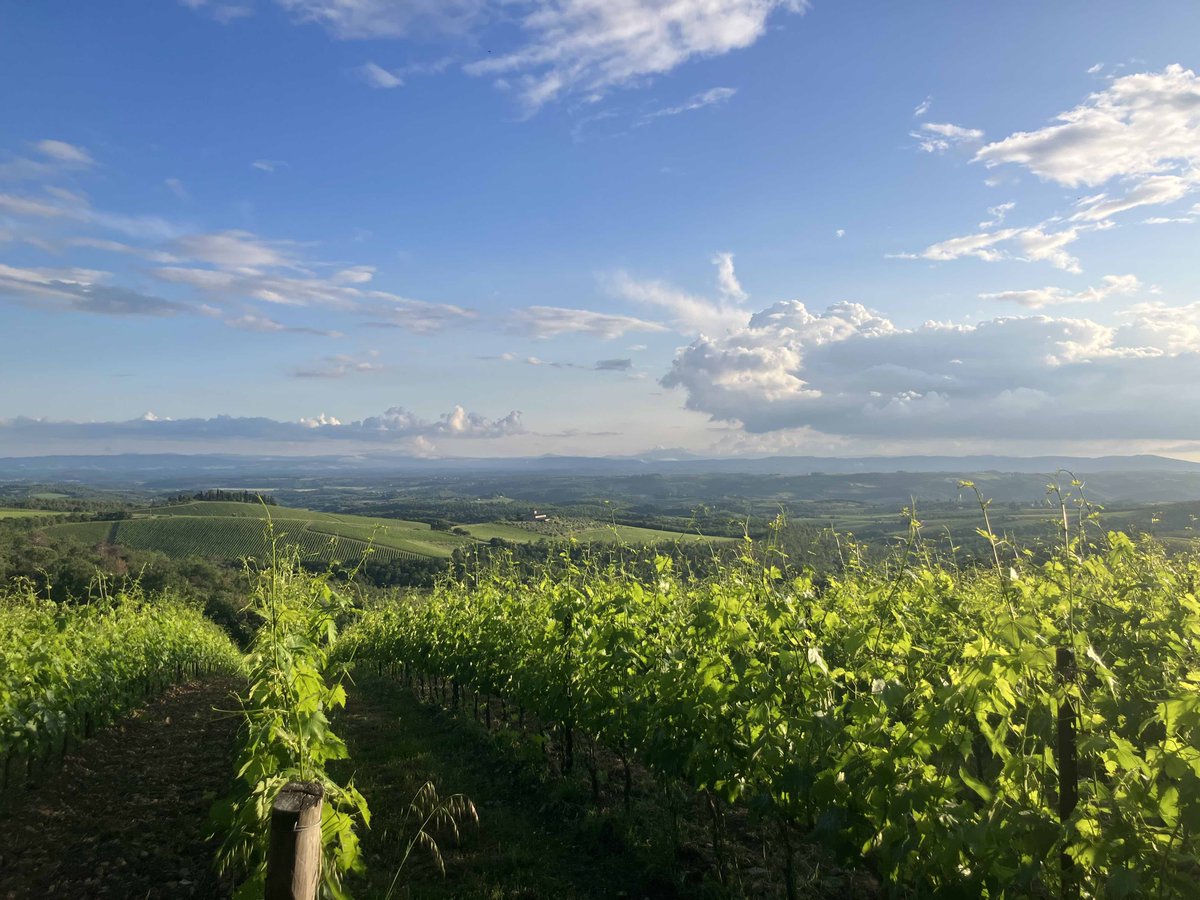 The HACID project was presented at the 3rd conference of <a href="/eu_tailor/">TAILOR EU Network</a>, the 🇪🇺Network of Excellence for Trustworthy #AritificialIntelligence, held in the beautiful setting of the Certosa di Pontignano in Tuscany 🇮🇹
What is Trustworthy #AI, and how HACID contributes to it? 🧵👇🏽