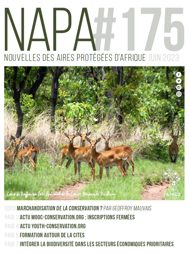 📨 La nouvelle newsletter est sortie ! ➡ papaco.org/fr/napa 📨 The latest newsletter is out! ➡ papaco.org/napa
