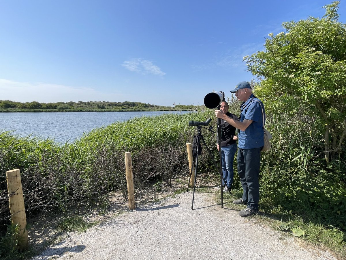 165. Great Reed Warbler

+1 for the #LocalBigYear in/around #katwijk 🇳🇱

GRW is a very rare bird at Katwijk. This maybe just the 4th record. My first anyway. 😇
Here with @ArnoldMeijer + Rene v Rossum (front)

#lowcarbonbirding #vogelbescherming #groenejaarlijst #BirdsSeenin2023