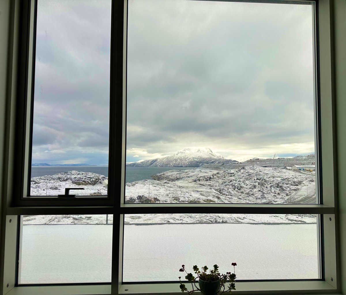 Summer ☀️🥶 #Nuuk #Greenland #Arcticliving #officeview