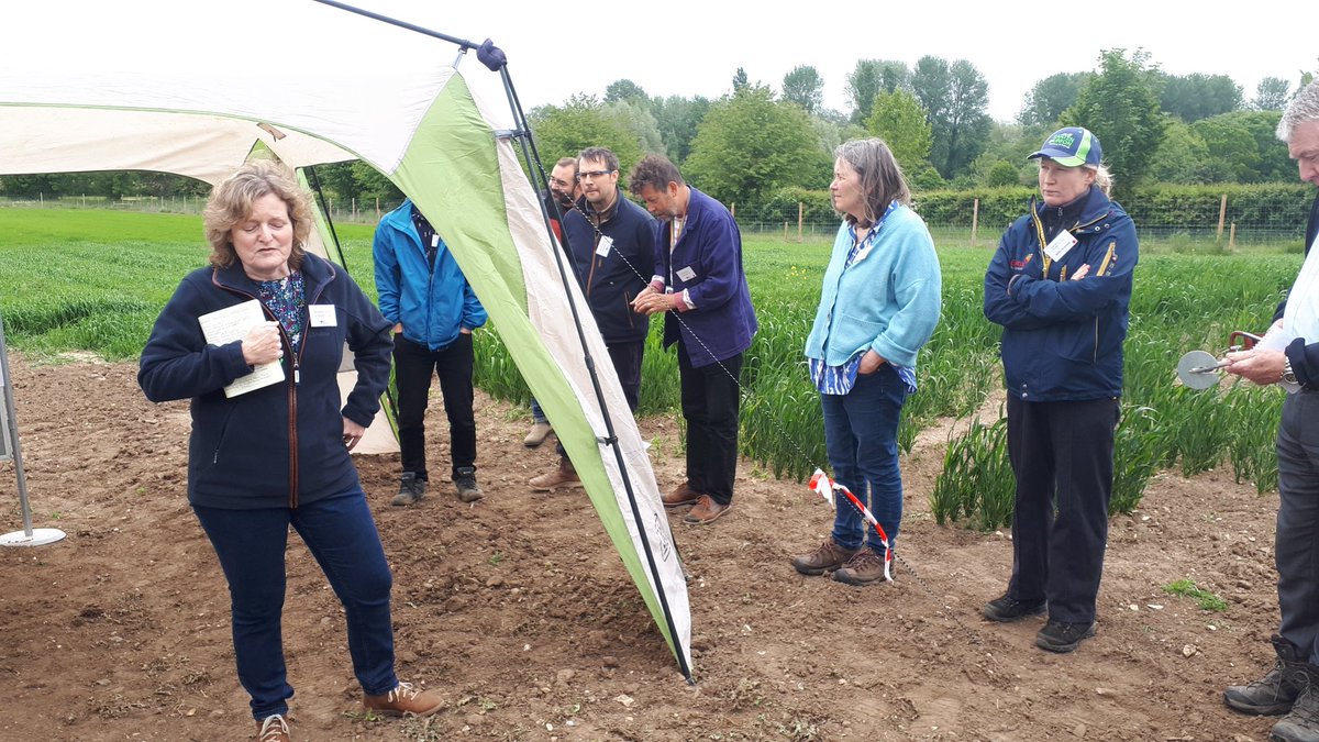 Laura Bouvet tweet media