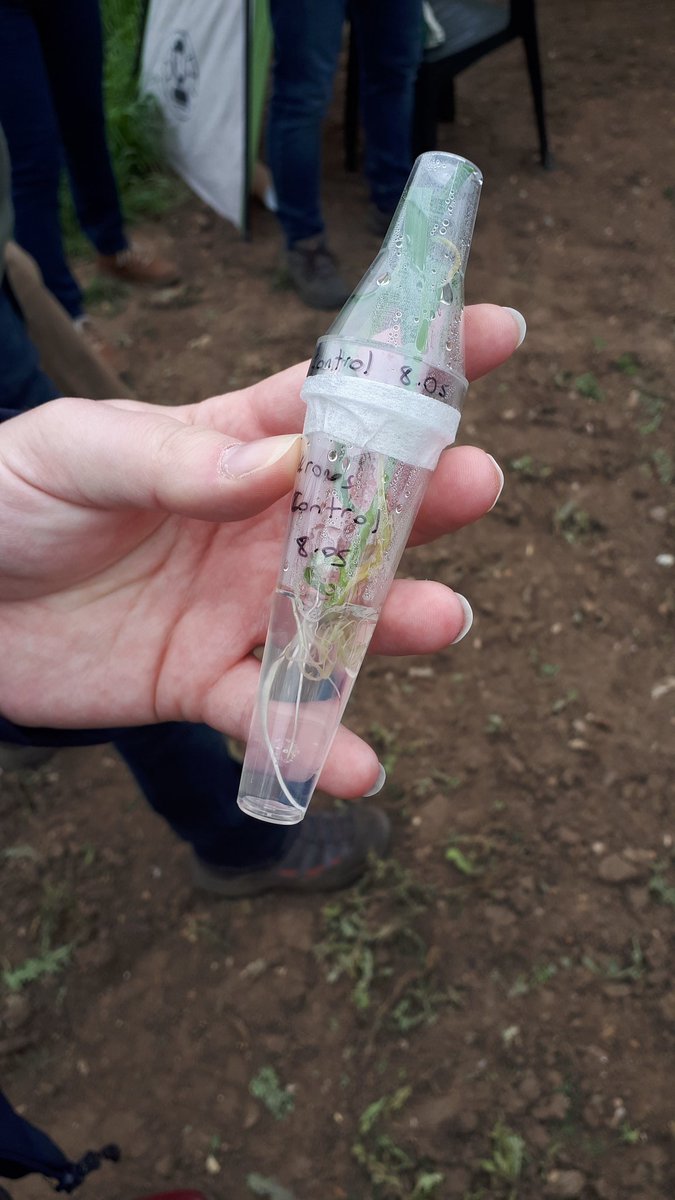 Laura Bouvet tweet media