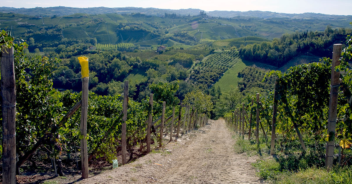 Pioneering in climate analytics with Robeco’s Sector Decarbonization Pathway methodology. ro-be.co/2eb380